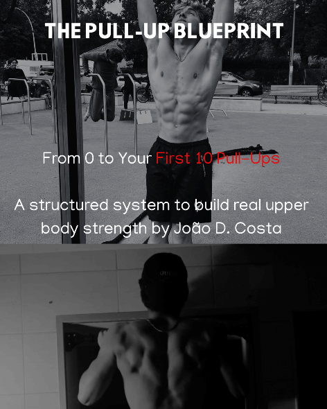 0→10 Pull-Ups System (FREE €$19 Value)