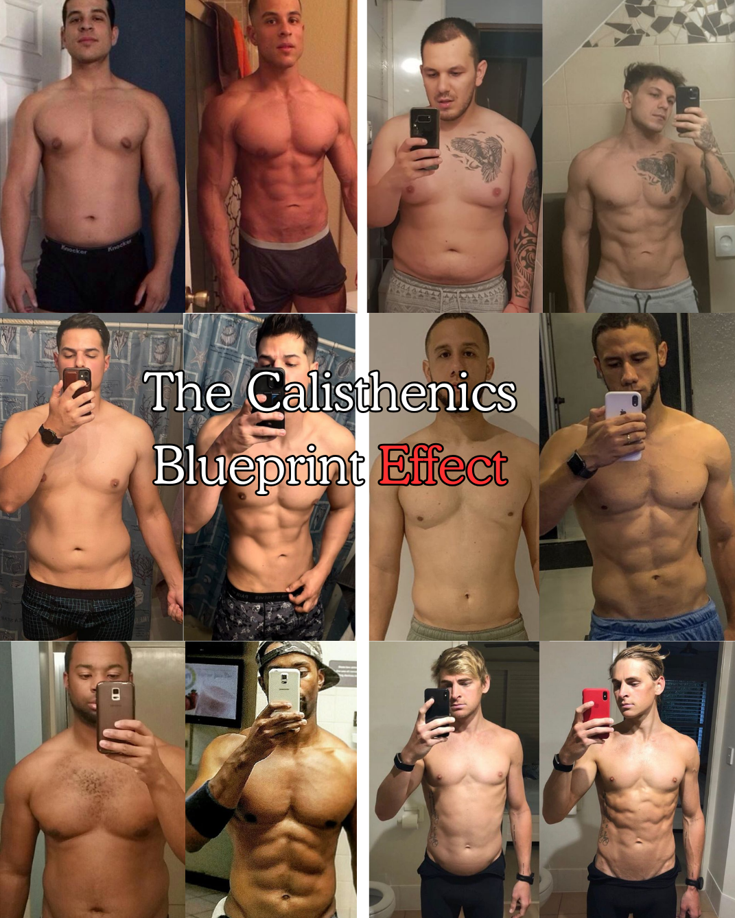 The Calisthenics Blueprint